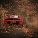 Illustration for article titled #cddcphotocontest FALLow up. FALL!!!!!!